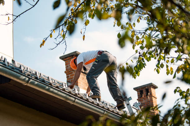 Best Roof Maintenance Services  in Saunders Lake, OR