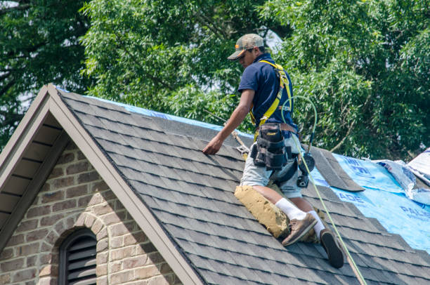 Roof Gutter Cleaning in Saunders Lake, OR